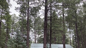 A lodge with a metal roof, surrounded by tall pine trees. - Roomy Cabin in TALL Pines w/ Fenced Yd, A/C,  4  Bd/2 Ba, 75" TV + 593 movies (Pinetop)