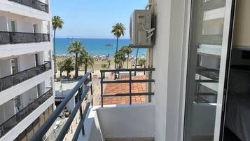 One Bedroom Apartment Suite 309 | Balcony