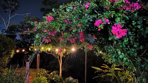 A garden with flowering plants and a wooden pergola. - Legacy Boutique Hotel (Quesada)