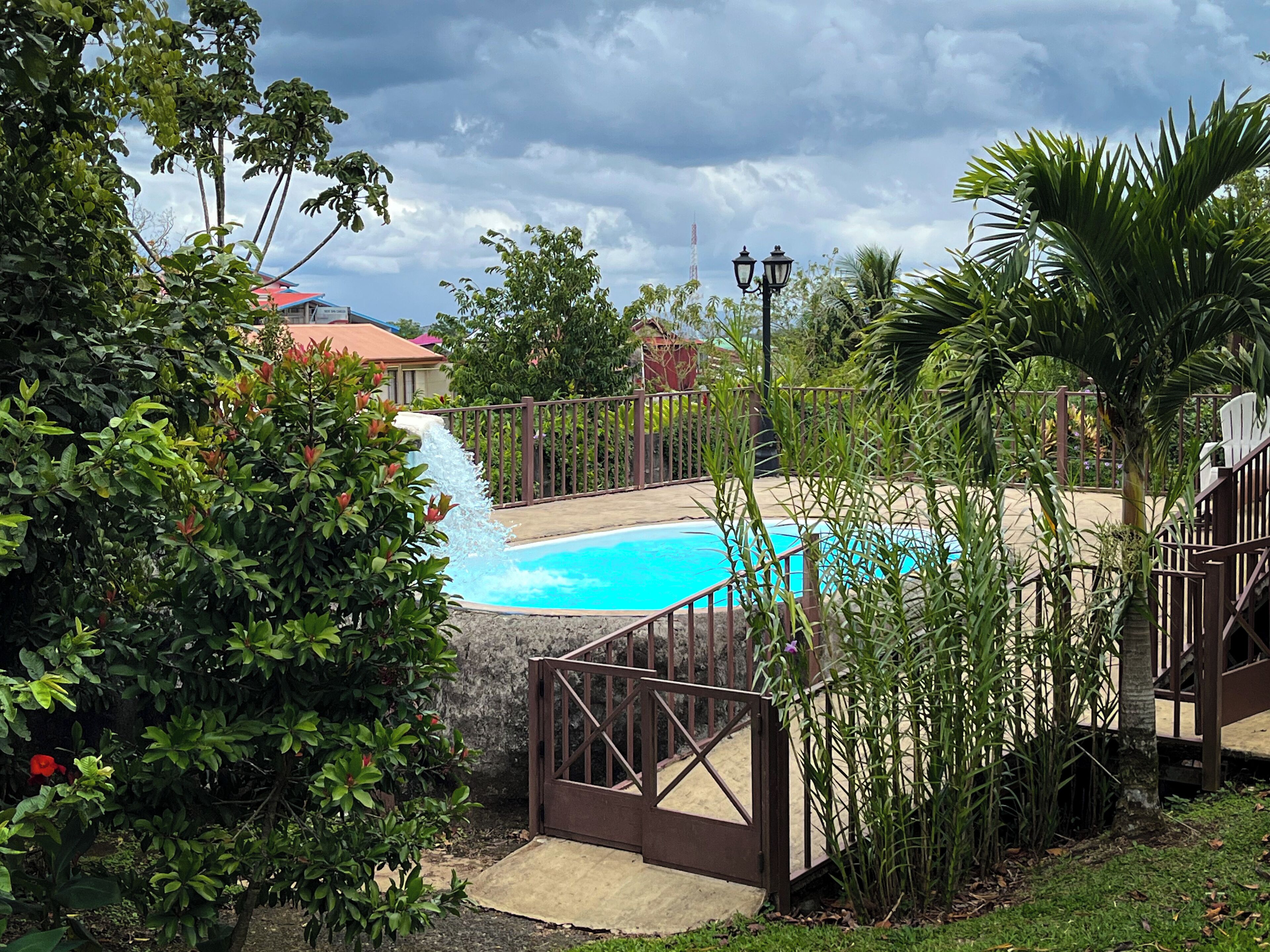 A swimming pool surrounded by lush greenery and a wooden fence.