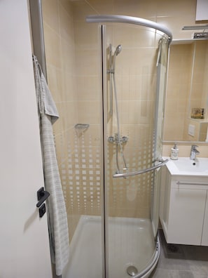 Shower, hair dryer, towels