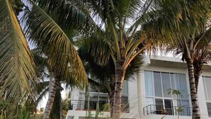 Un edificio moderno de dos pisos con grandes ventanales y balcones, rodeado de palmeras y vegetación.