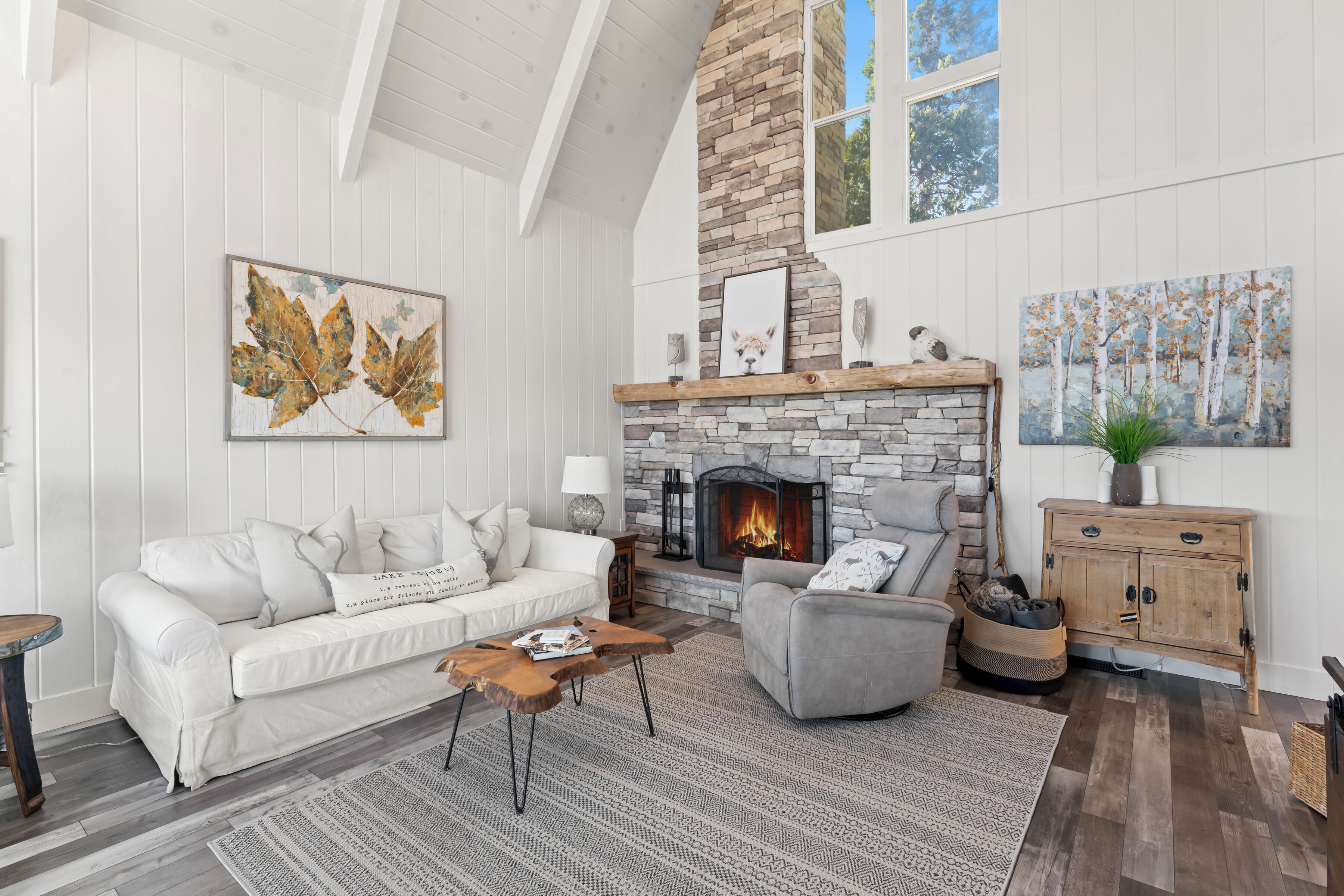 Una Smart TV, una chimenea, videojuegos, un reproductor de DVD