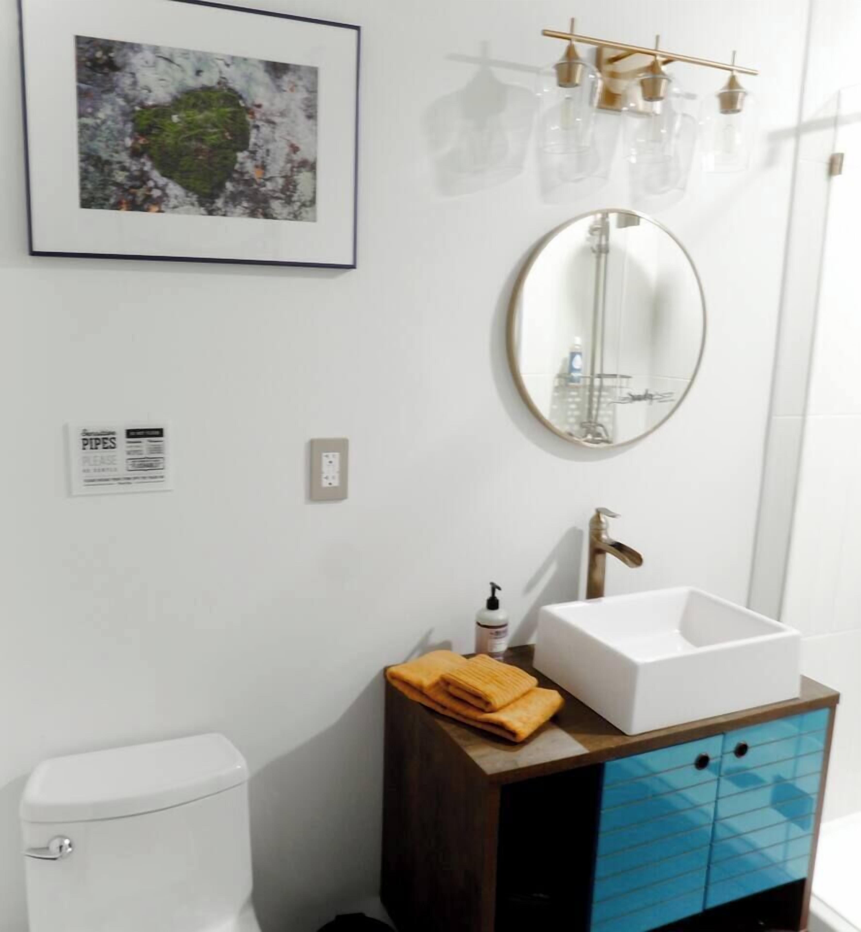 Een badkamer met een wit toilet, een wastafel met een blauwe kast, een spiegel en een lijst met een foto aan de muur.