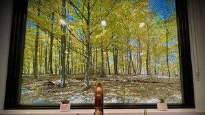 Une cuisine dotée d’une grande fenêtre donnant sur une forêt.
