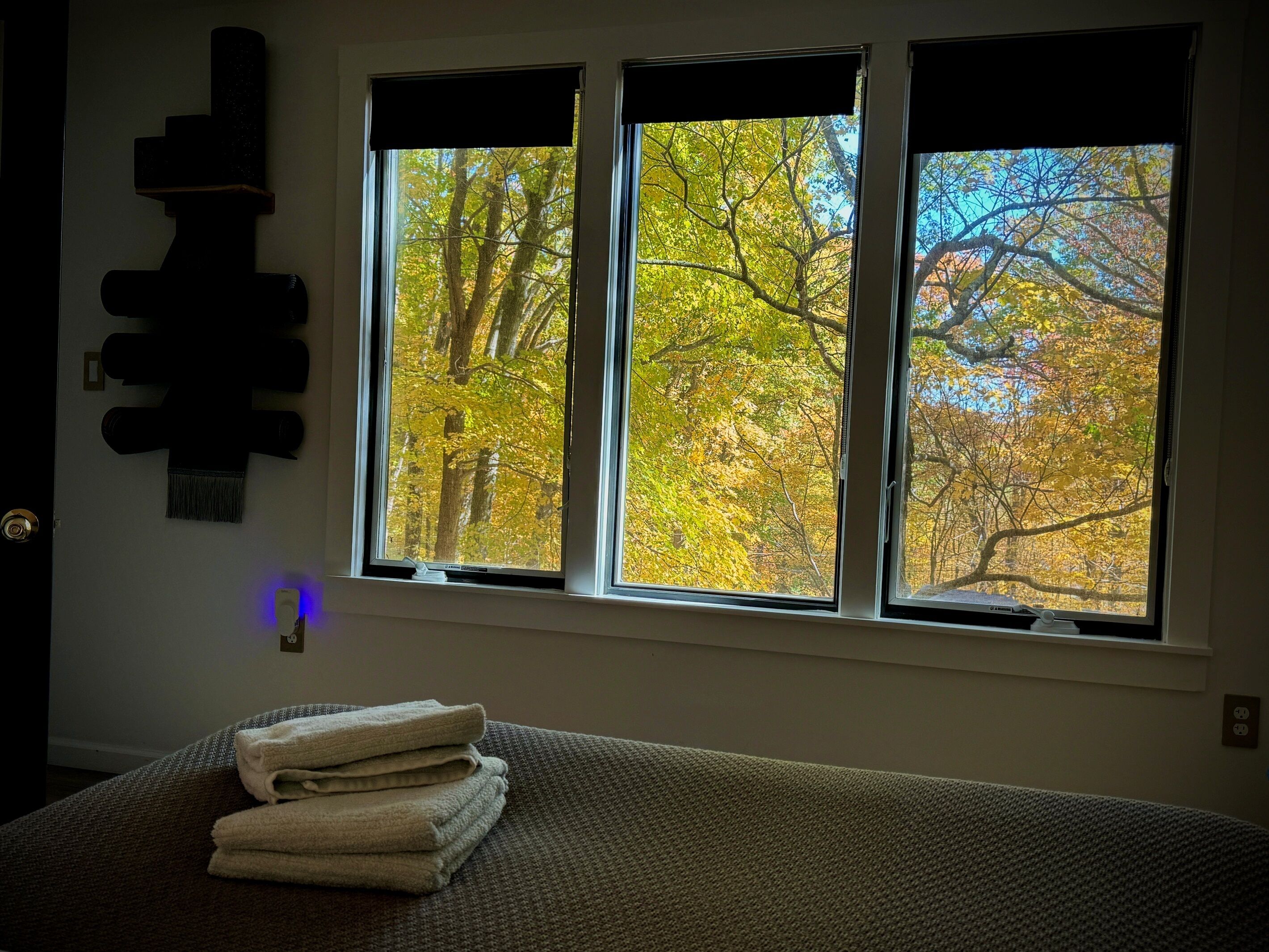 A room with a bed, a window with a view of autumn trees, and a towel on the bed.