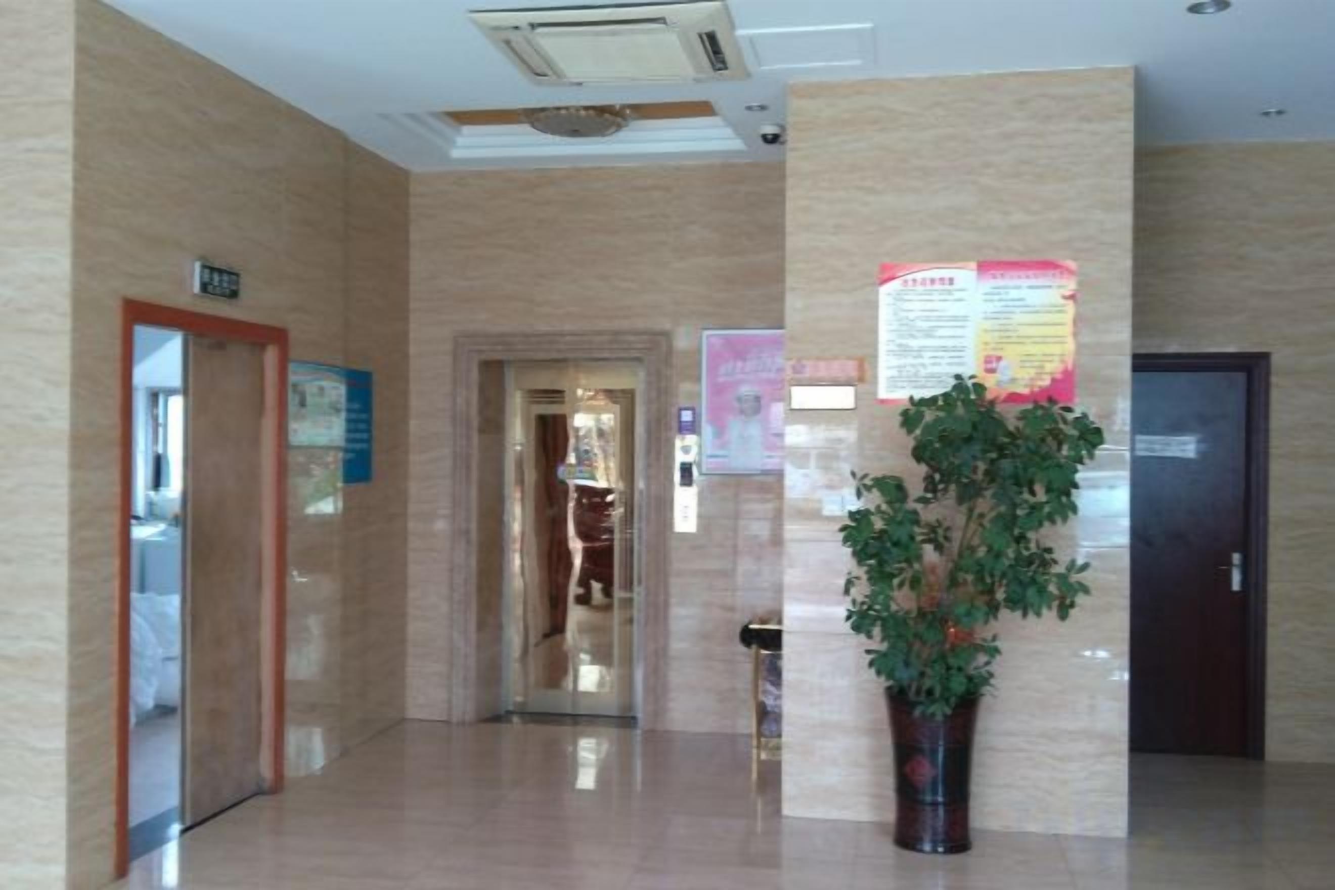 Un pasillo con una recepción, una planta en maceta y carteles informativos en las paredes.