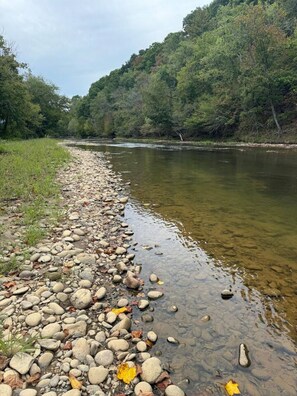 A riverbank with a rocky shoreline and dense forest in the background.