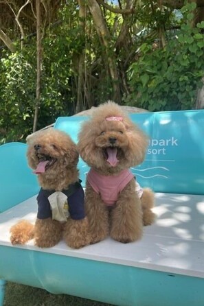 Children’s area - Glampark Resort Okinawa Akuna Beach (Uruma)