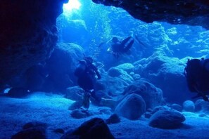 Miscellaneous - Glampark Resort Okinawa Akuna Beach (Uruma)