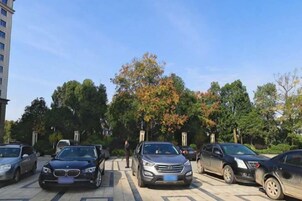 A parking lot with multiple cars, trees, and a building in the background.