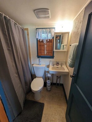 Shower, hair dryer, towels, shampoo