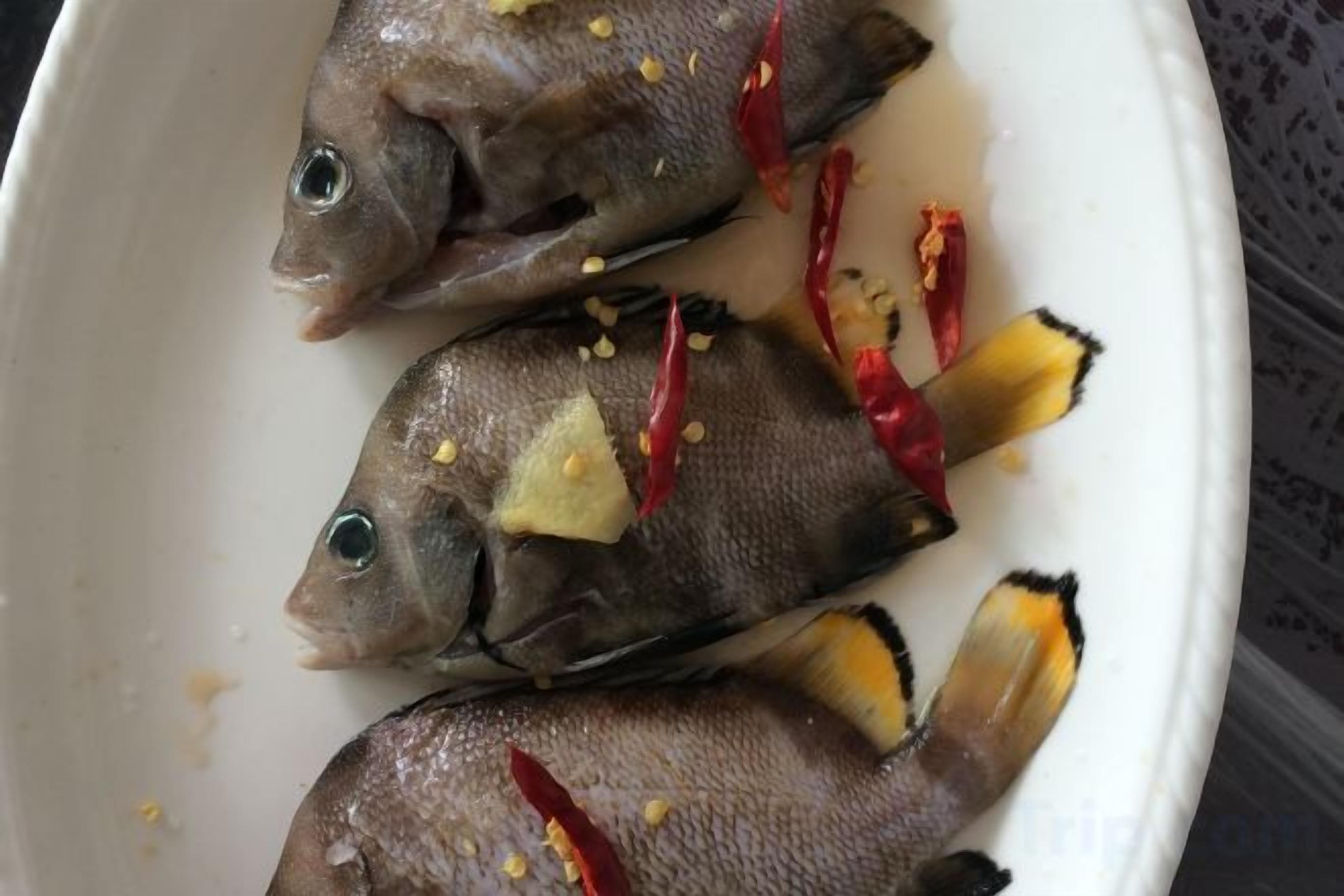 A white plate with several fish, garnished with red chili peppers and yellow spices.