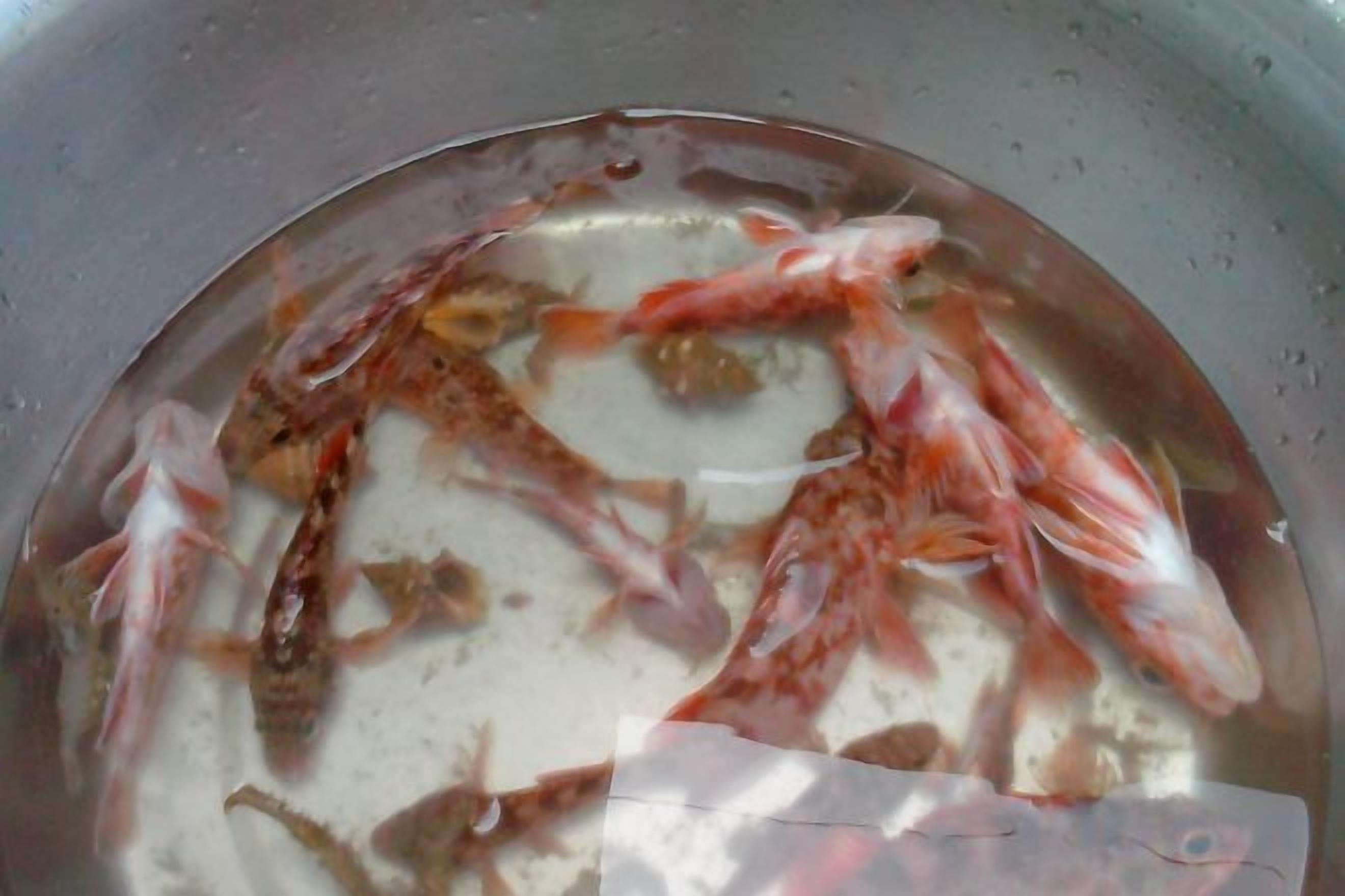 Yemek ve içecek