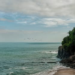 Plage, bar de plage, surf, kayak