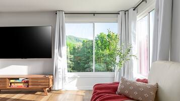 Smart TV, fireplace, video games, foosball