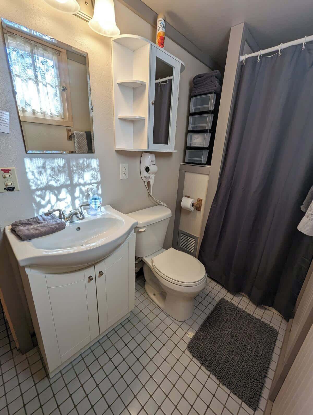 A bathroom with a sink, toilet, mirror, and shower curtain.