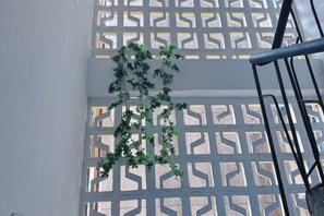 Un escalier avec une rampe en métal et une plante suspendue au mur.