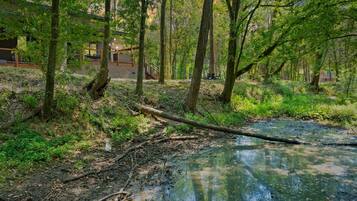Overnattingsstedets uteområder