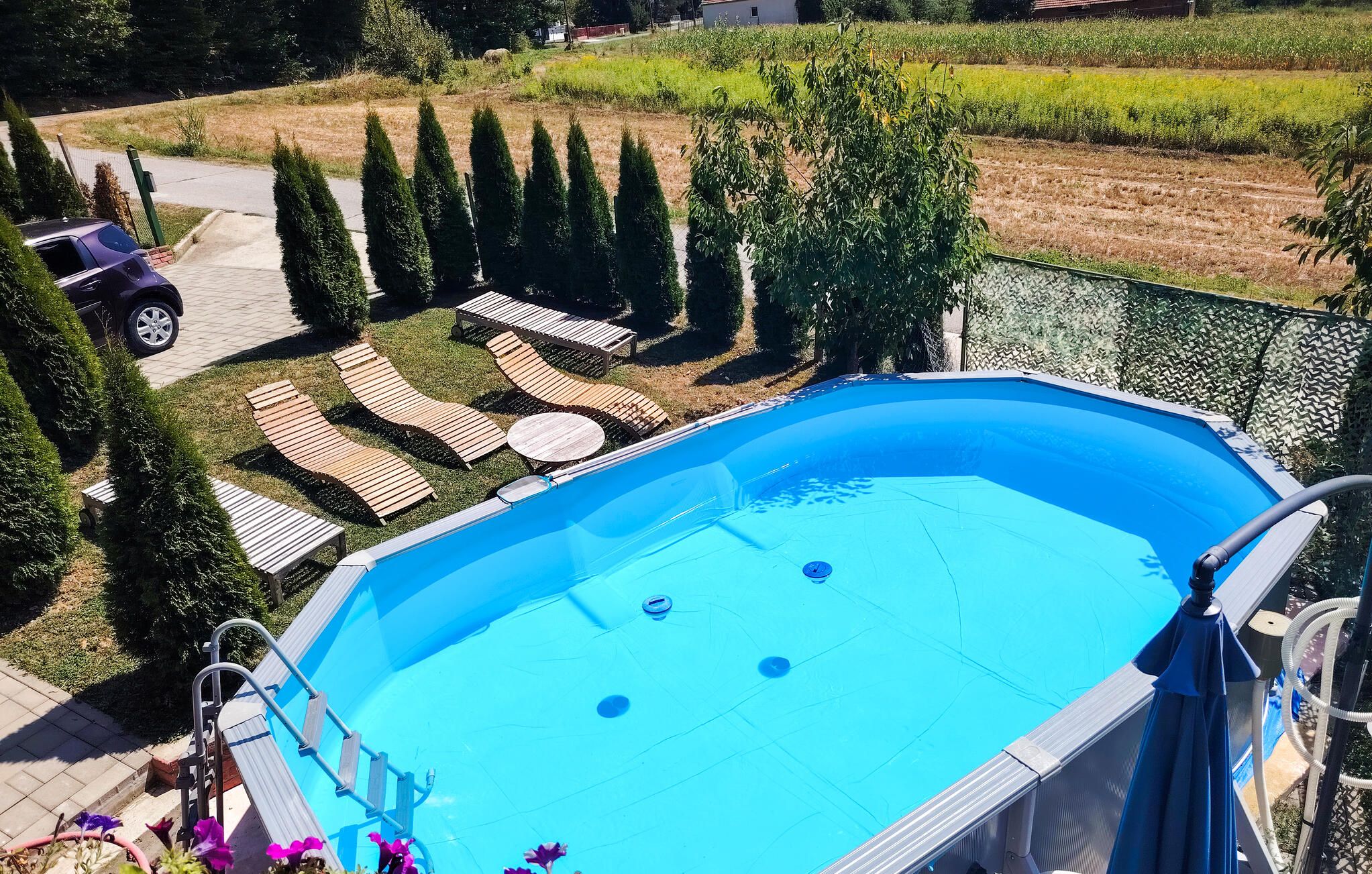 A swimming pool with a deck area, surrounded by neatly trimmed hedges and a few trees.