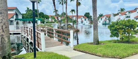 Stroll across the wooden bridge to a tranquil waterfront retreat with a well-manicured lawn and palm trees.