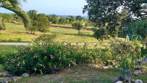 A lush garden with flowering plants and a view of a coastal landscape. - Residence KAYA, Marie-Galante, sea view (Grand-Bourg)