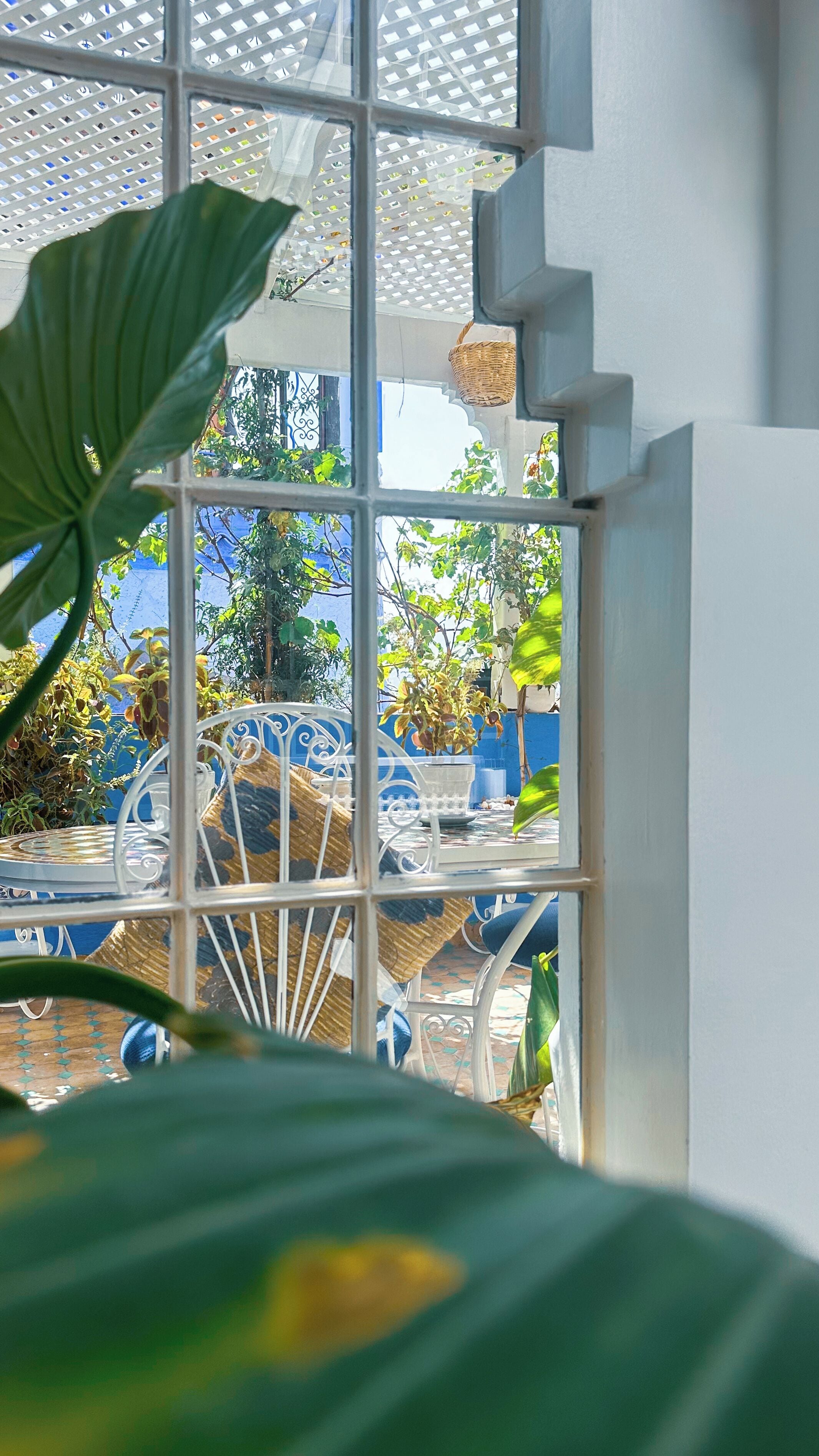 A view through a window with a metal grill, a wicker basket, and a potted plant.