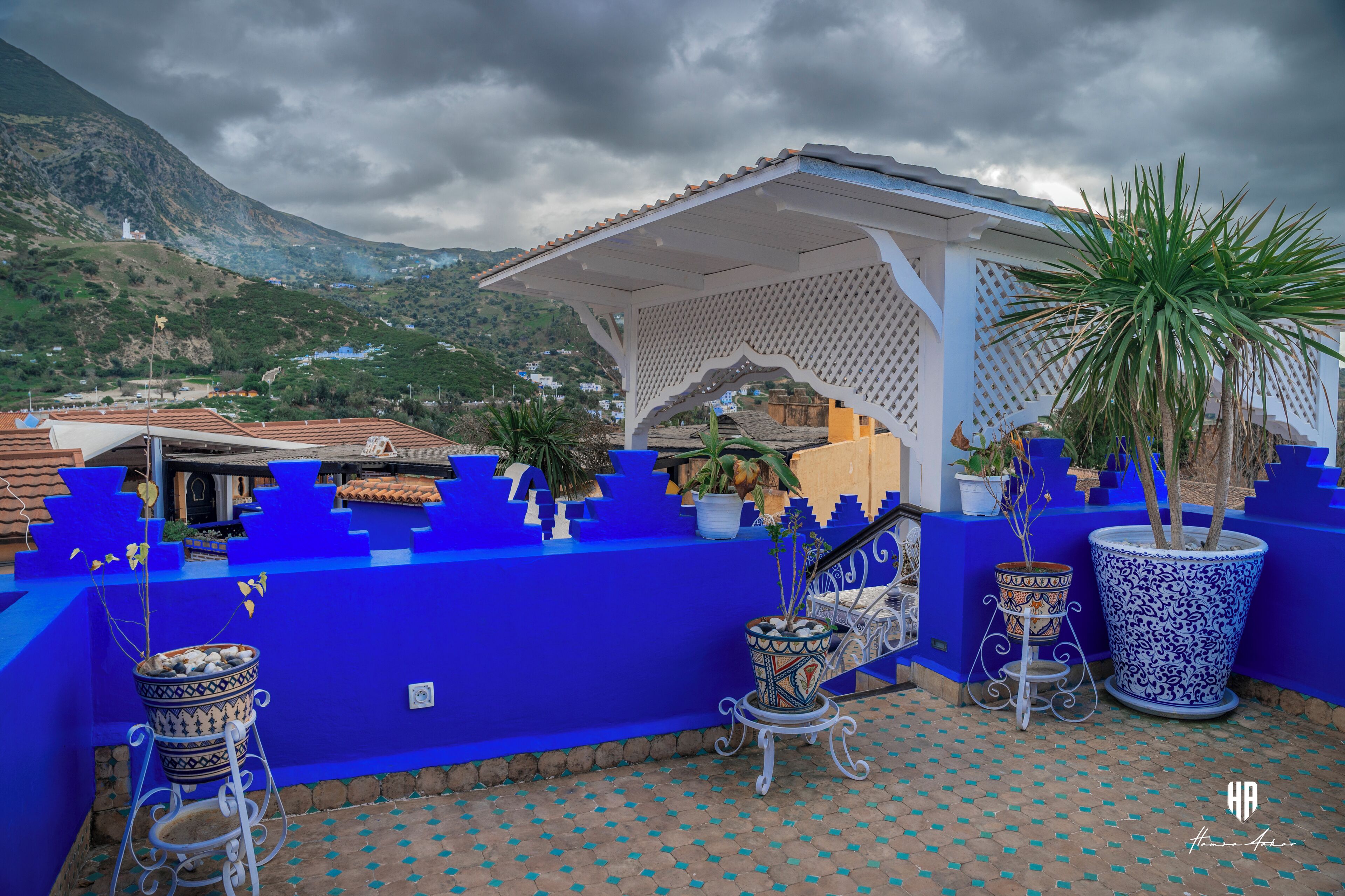 A rooftop terrace with blue walls, potted plants, and a white pergola.