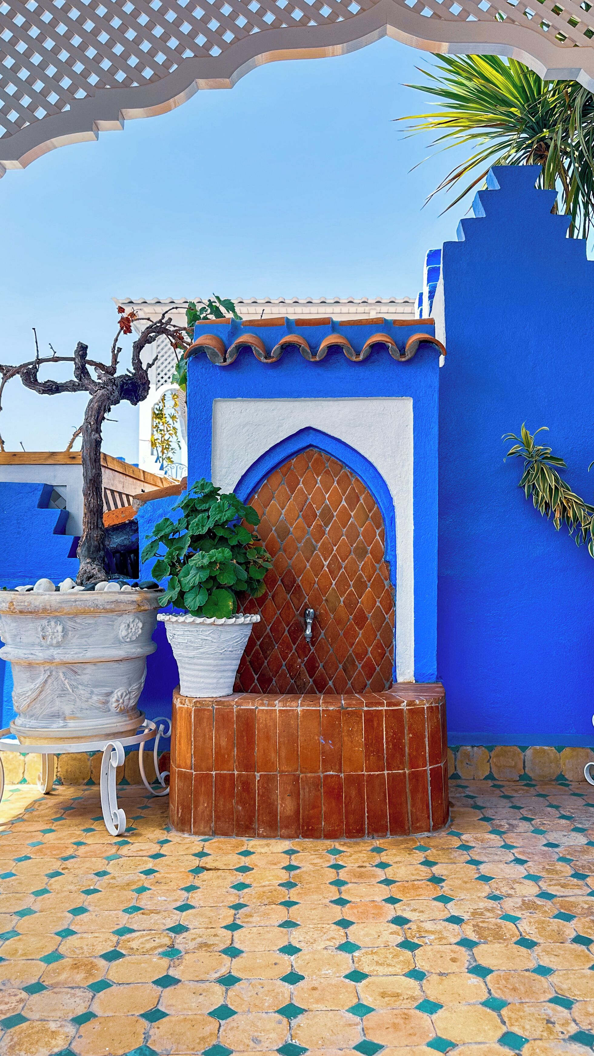 A courtyard with a blue wall, a tiled floor, a wooden door, and a potted plant.