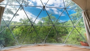 A room with a large arched window offering a view of a forested area.