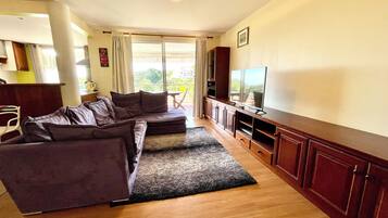 TV, DVD player, books