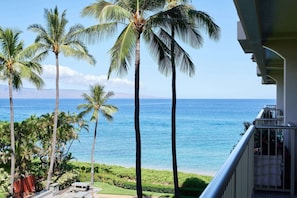 A balcony with a view of the ocean and palm trees.