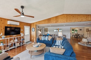 Smart TV, fireplace, books