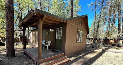 Cabin #1 - 1 Bedroom Modern With Fireplace