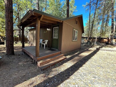 Cabin #1 - 1 Bedroom Modern With Fireplace