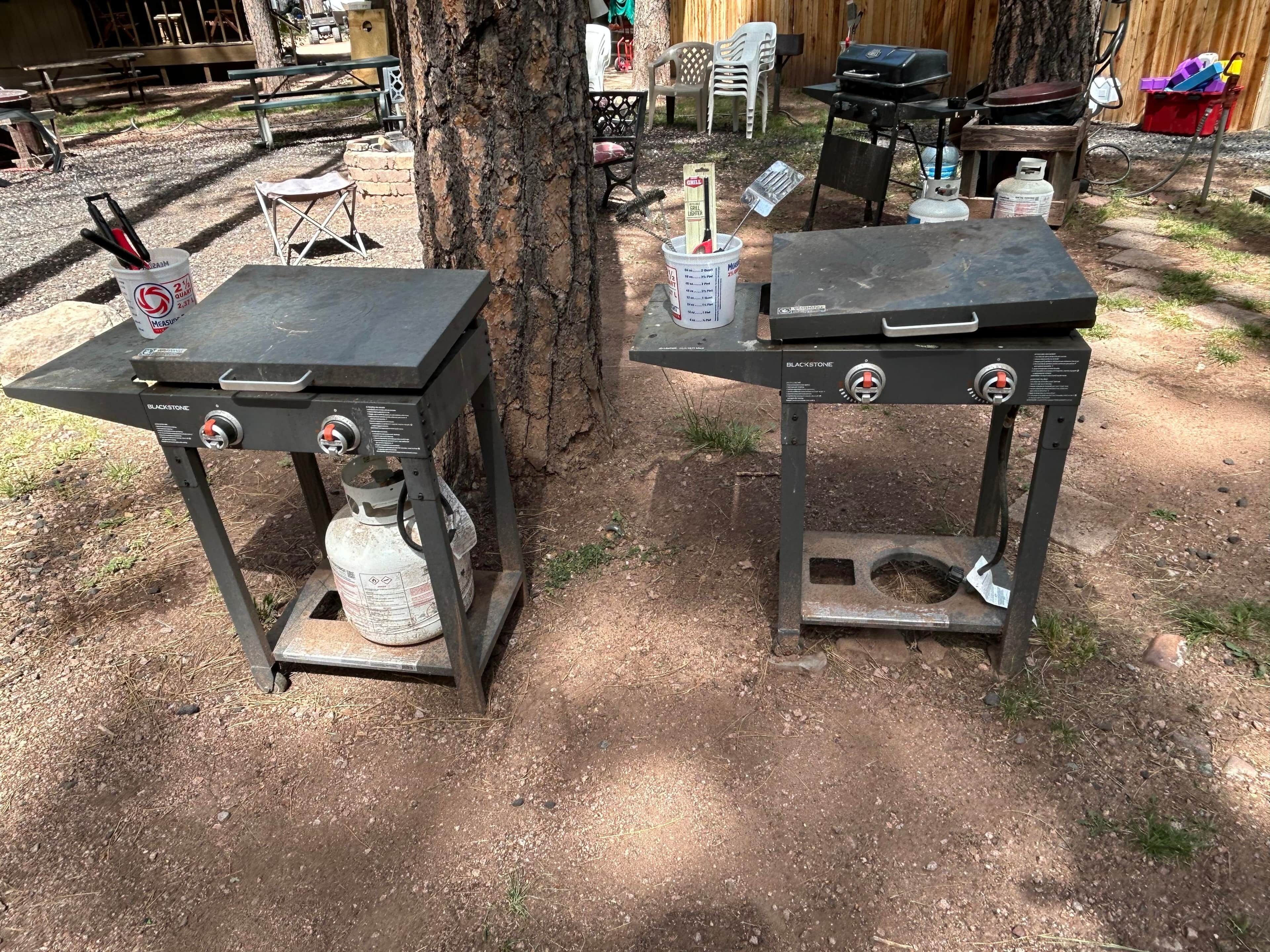 Zwei Grillanlagen im Freien mit Gasflaschen, ein Picknicktisch und ein Baum in einem Garten.