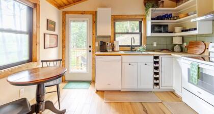 Modern cabin retreat with serene outdoor oasis