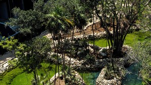 Ein angelegter Garten mit einem zentralen Teich, umgeben von Steinrändern und verschiedenen Bäumen.