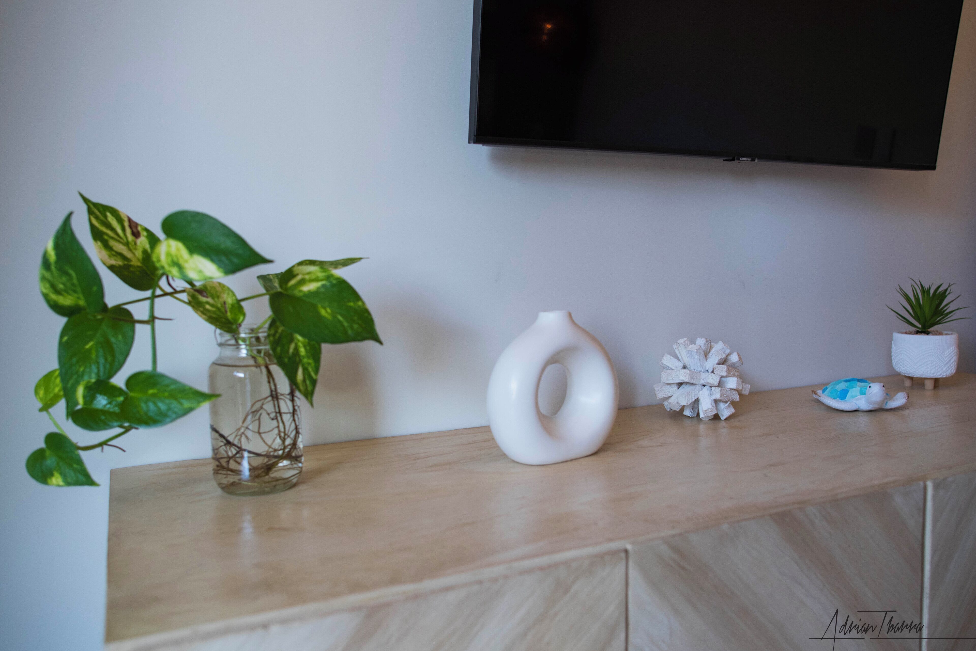 Une console en bois agrémentée d’une plante en pot, d’un vase blanc et d’objets décoratifs.