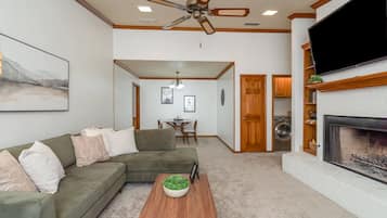 Smart TV, fireplace, books