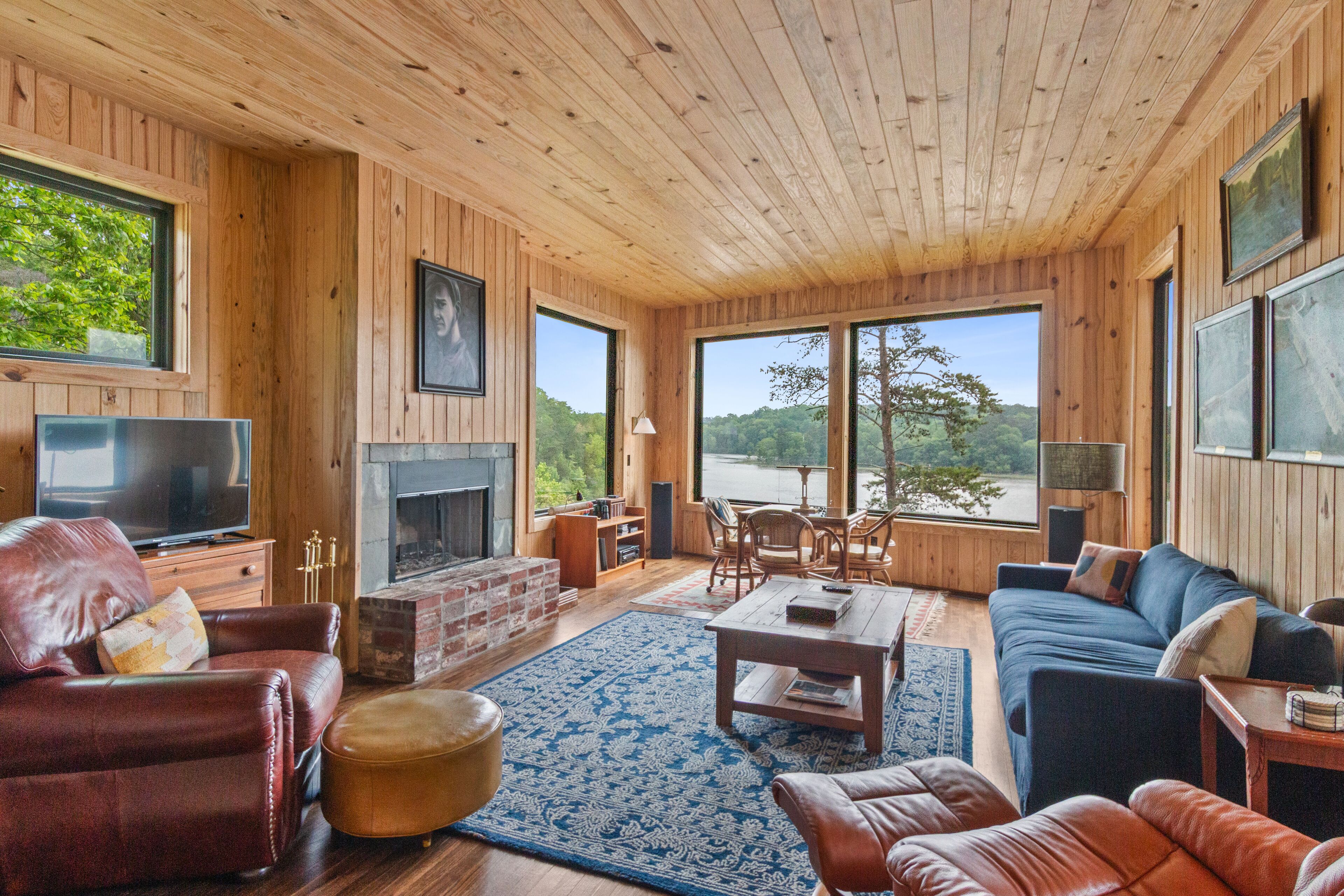 Smart TV, fireplace, DVD player, books