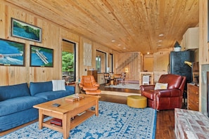 Smart TV, fireplace, DVD player, books