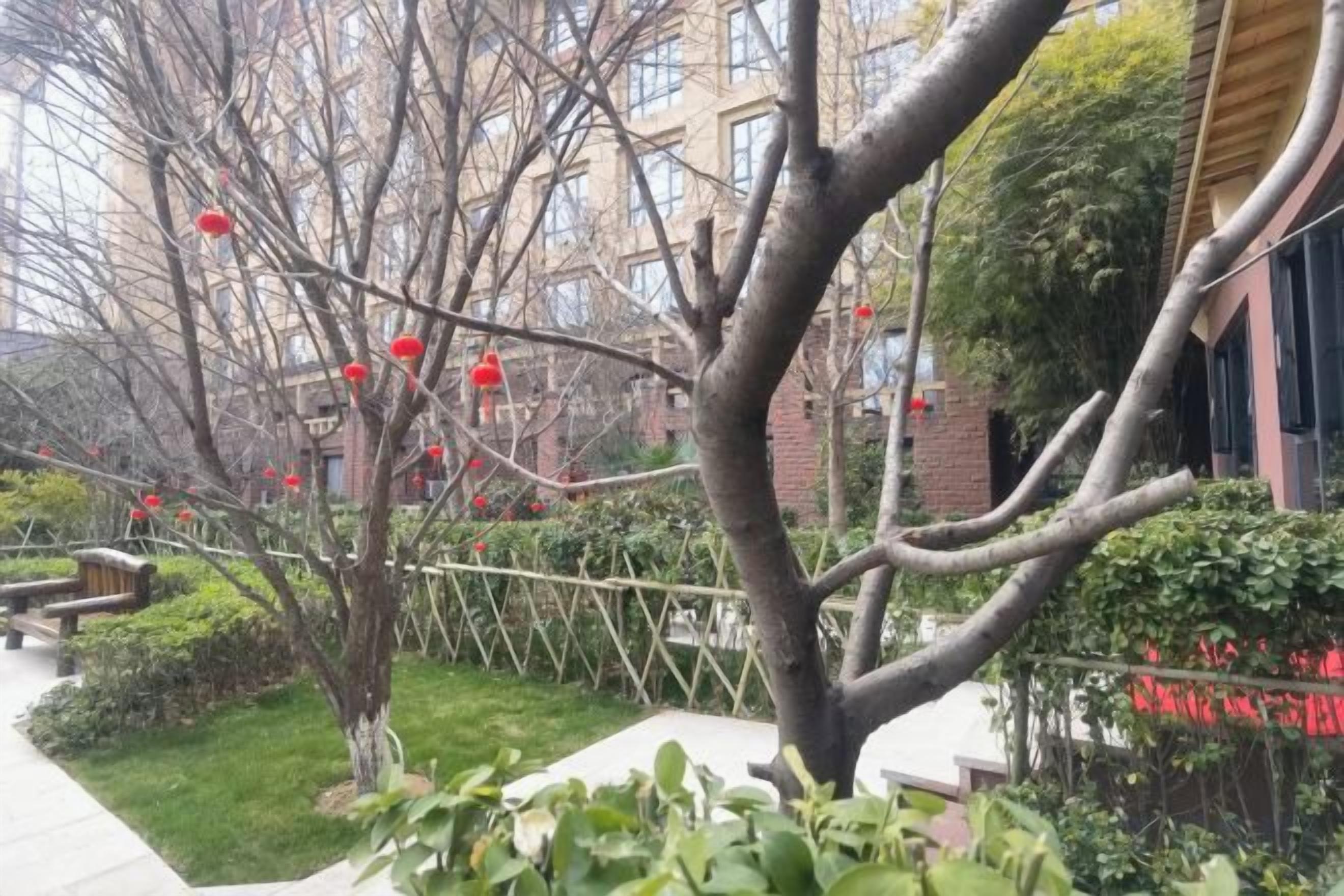 A tree-lined pathway with a bench, a fence, and a building in the background.