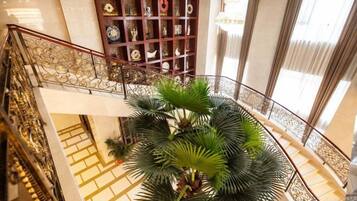 A multi-level interior with a staircase, a decorative wall with ceramic items, and a large potted plant.