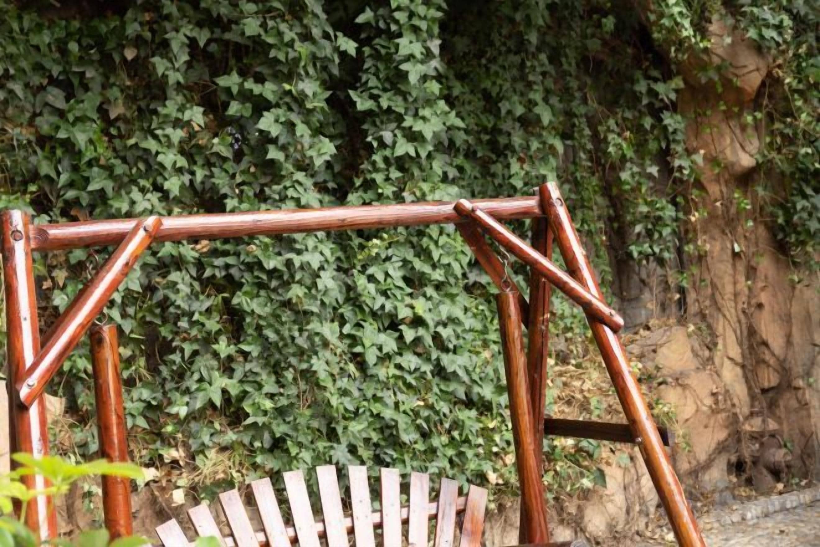 Un columpio de madera frente a un fondo de follaje denso y una pared rocosa.