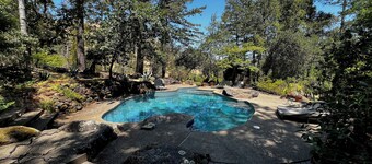 Peaceful 10 acre nature retreat nestled in the treetops of Sonoma