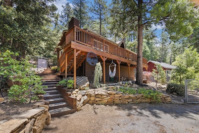 Central Heat & Air, WiFi, Wall Mural and Fully fenced minutes from downtown