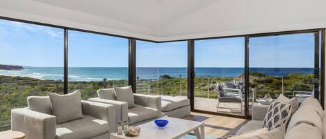 TV, fireplace, books