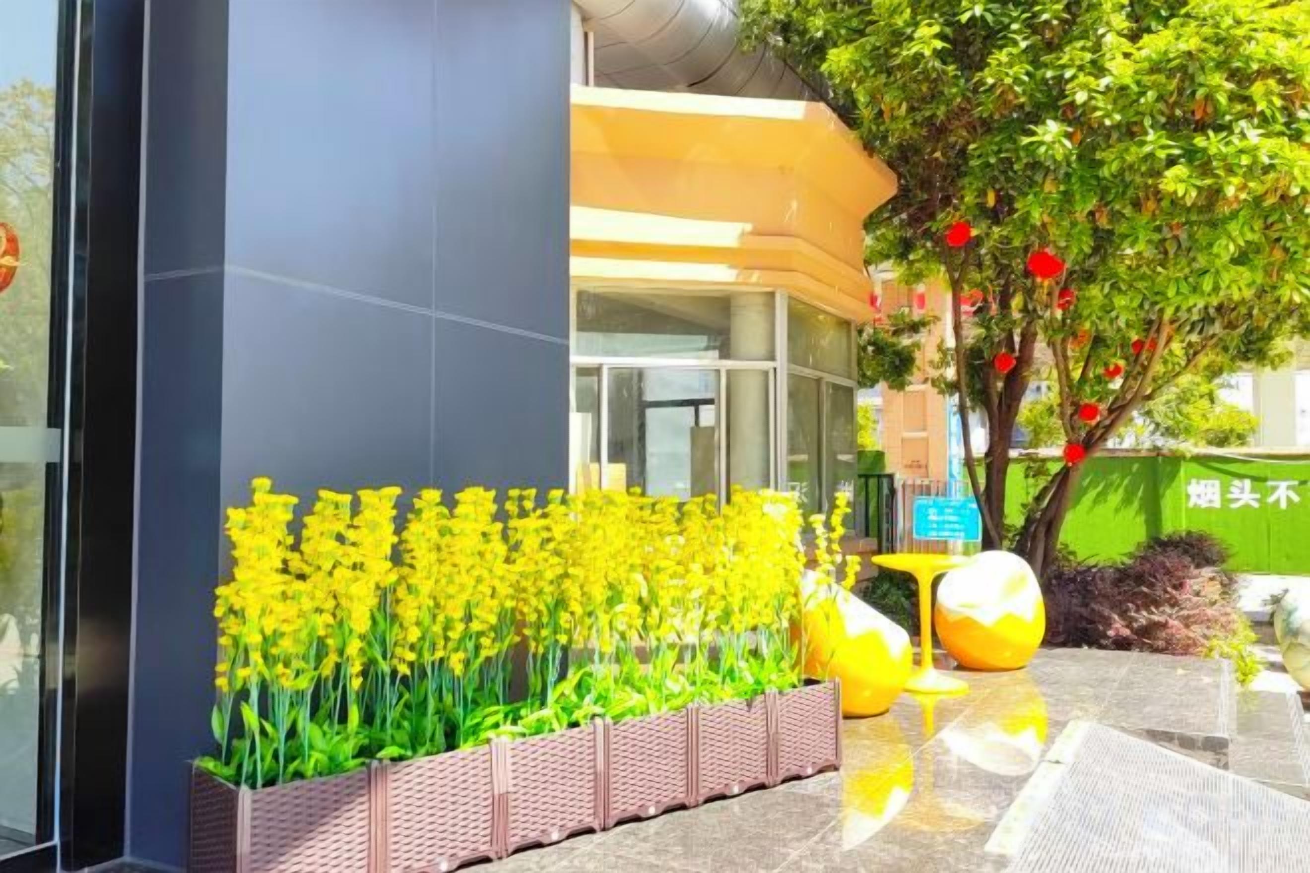 Entrada de edificio con un macetero de flores amarillas, un árbol con flores rojas y una pared verde con texto blanco.