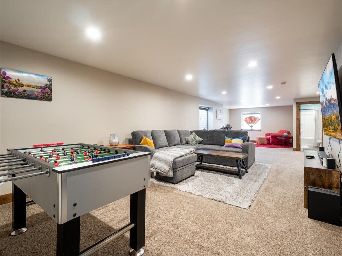 TV, fireplace, books